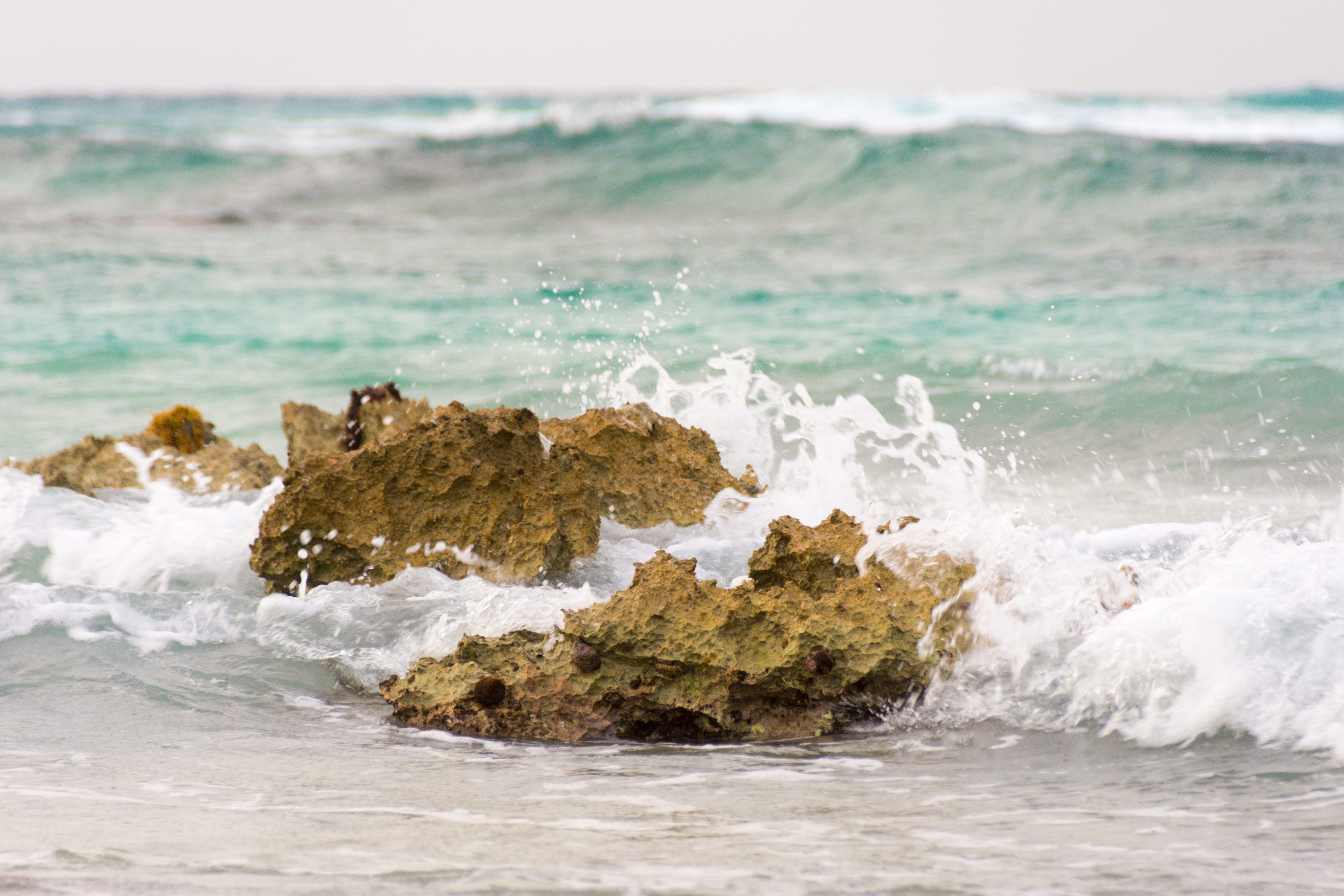 Ebb and Flow