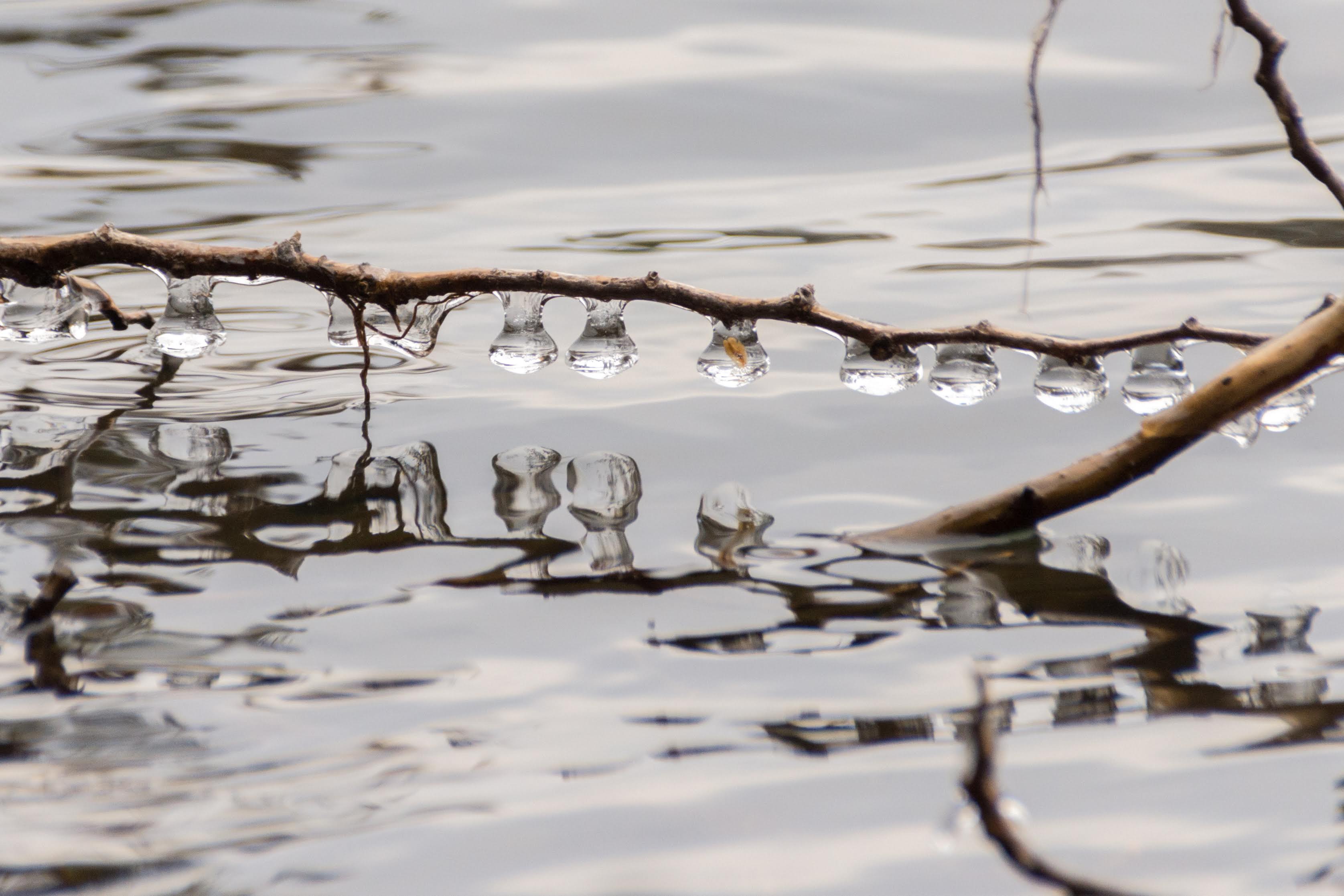 Lake icicles