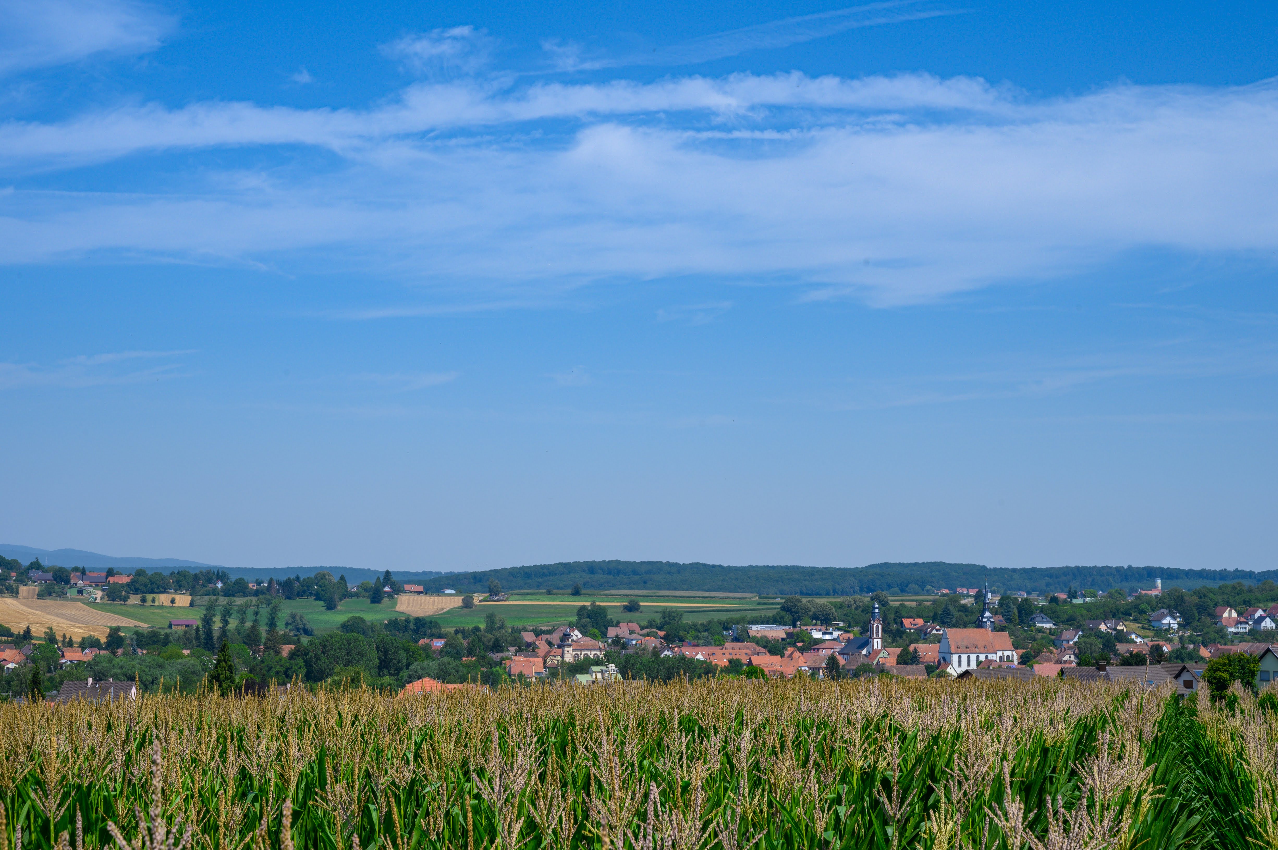 French countryside